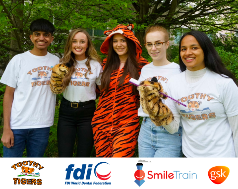 Toothy tigers dental students university leaflets fdi smile train gsk cleft patient