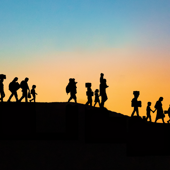 Refugee health