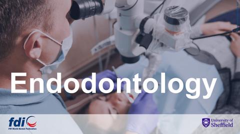 Endodontology